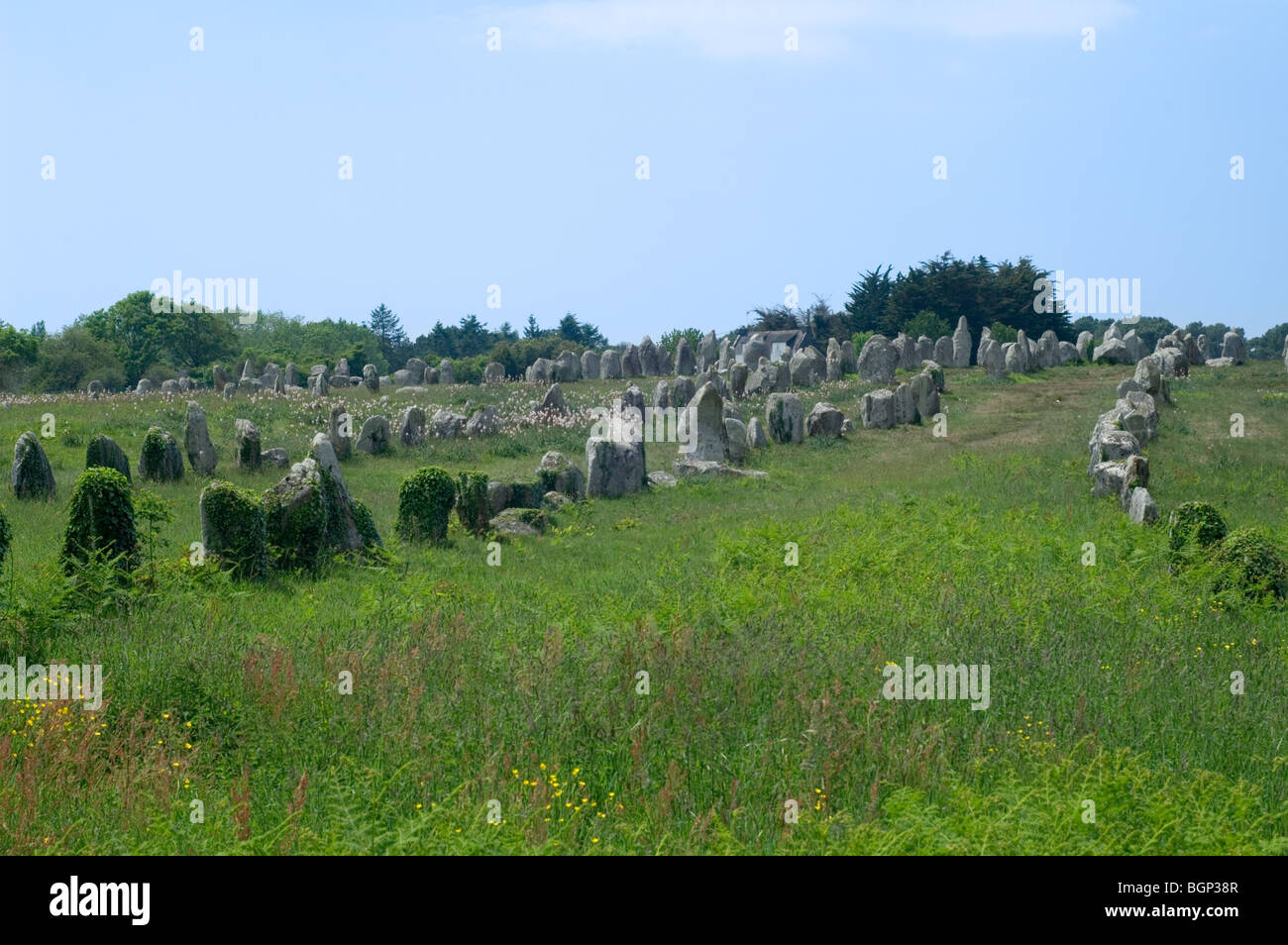 Comité permanent des pierres dans l'alignement de Kermario à Carnac, Morbihan, Bretagne, France Banque D'Images