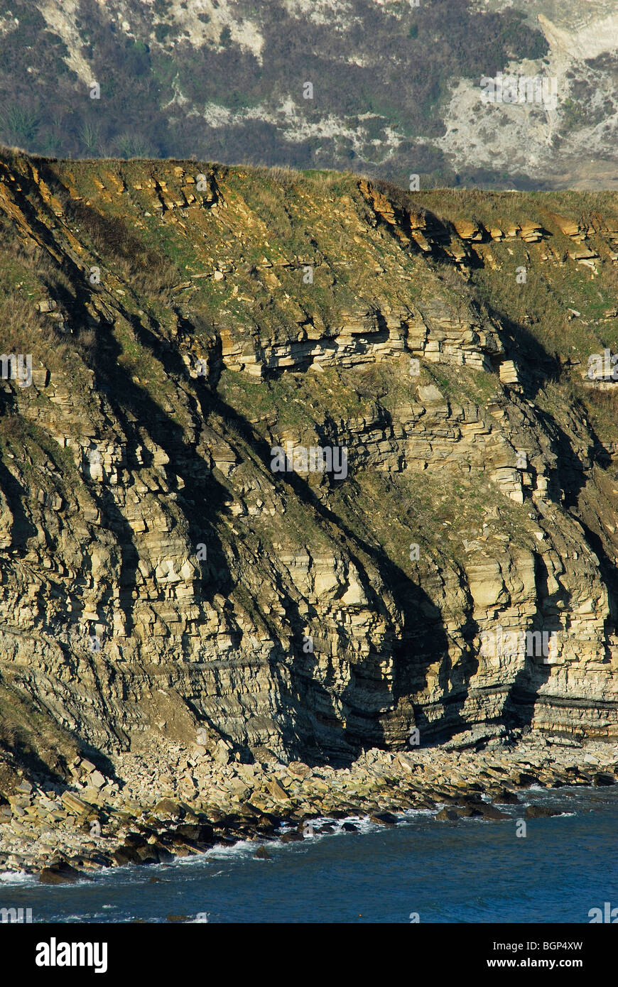 La zone centrale de la baie en zigzag Durlston Cliff, près de Swanage, Dorset, UK Décembre 2009 Banque D'Images