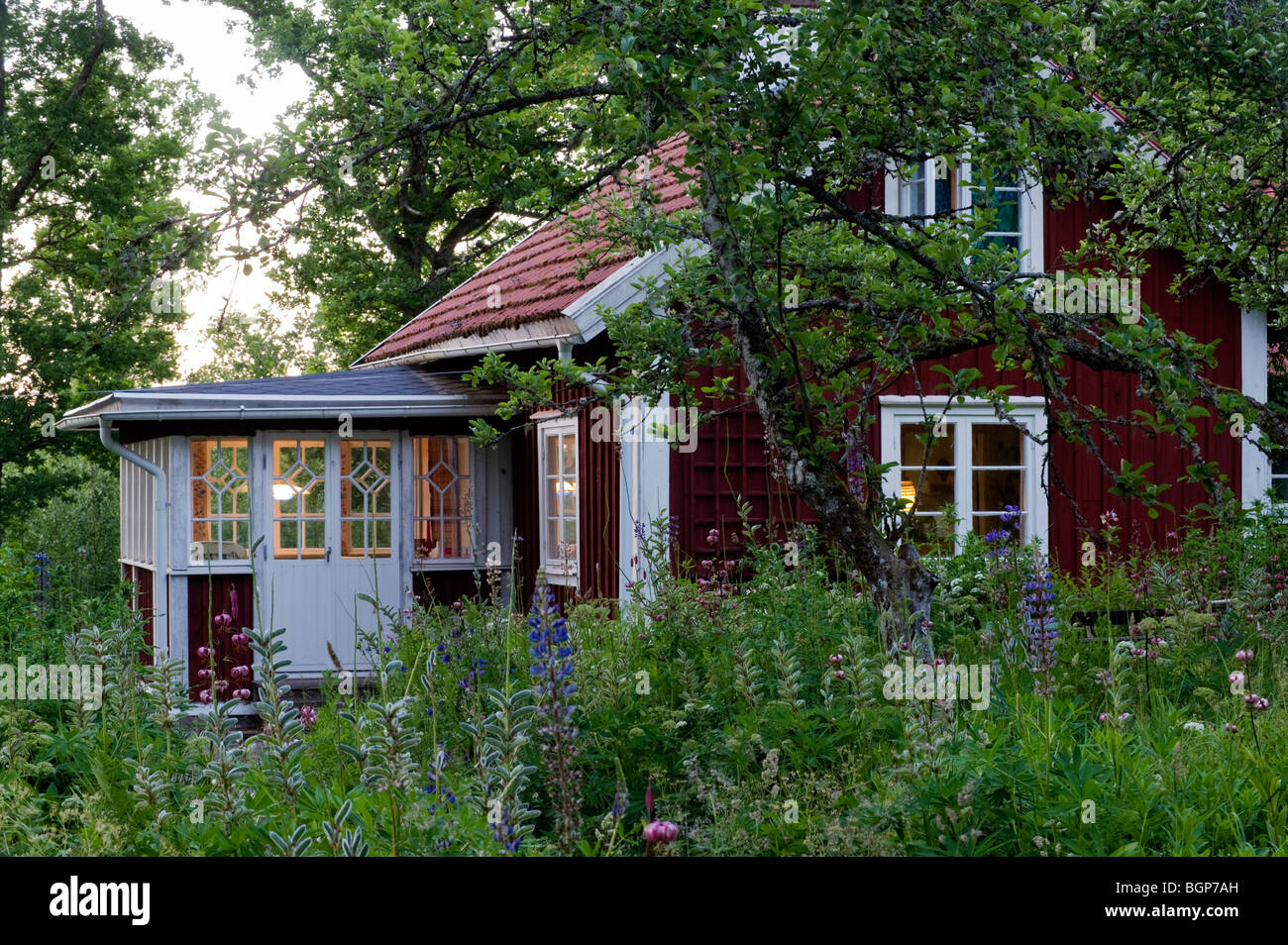 Petit chalet d'été, Smaland, Suède. Banque D'Images