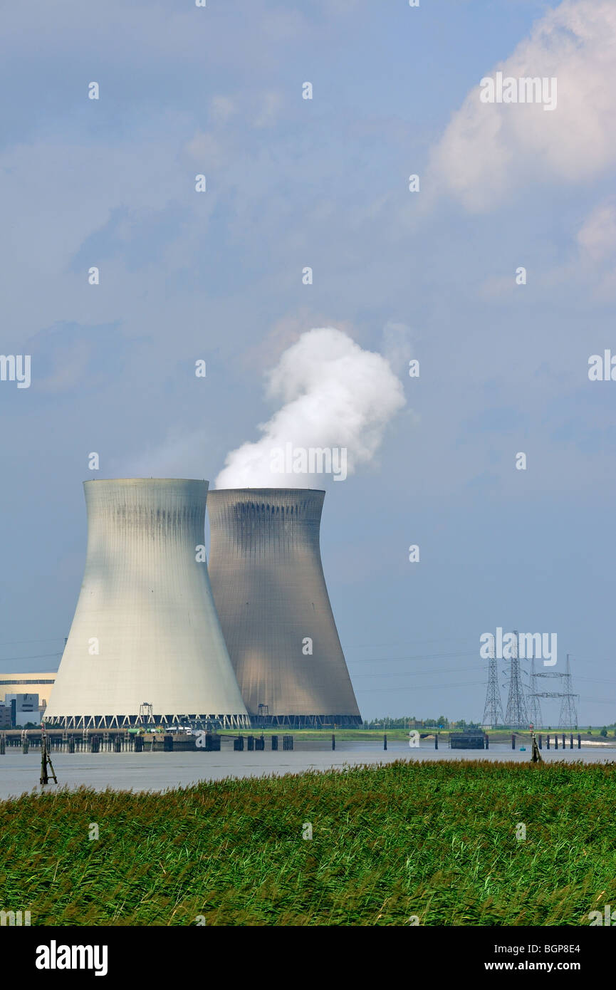 Les lignes électriques et les tours de refroidissement de la centrale nucléaire de Doel le long de l'Escaut à Anvers, Belgique Banque D'Images Les lignes électriques et les tours de refroidissement de la centrale nucléaire de Doel le long de l'Escaut à Anvers, Belgique Banque D'Images