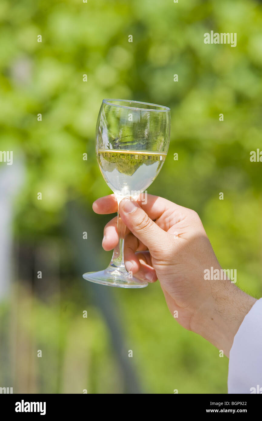 Personne tenant le verre de vin blanc Banque D'Images