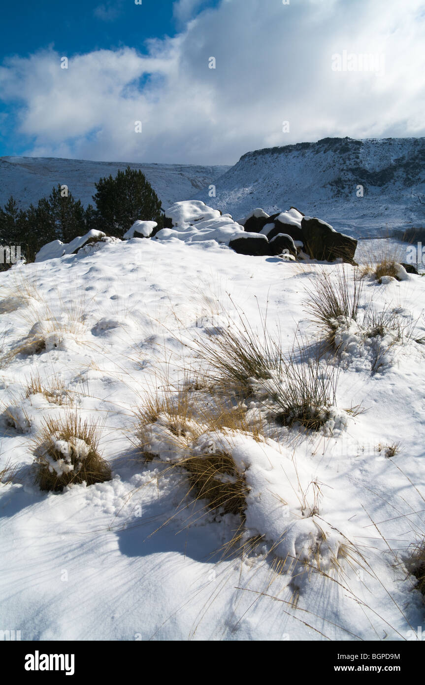 La neige, Binn, Vert Tameside UK, 2009 Banque D'Images