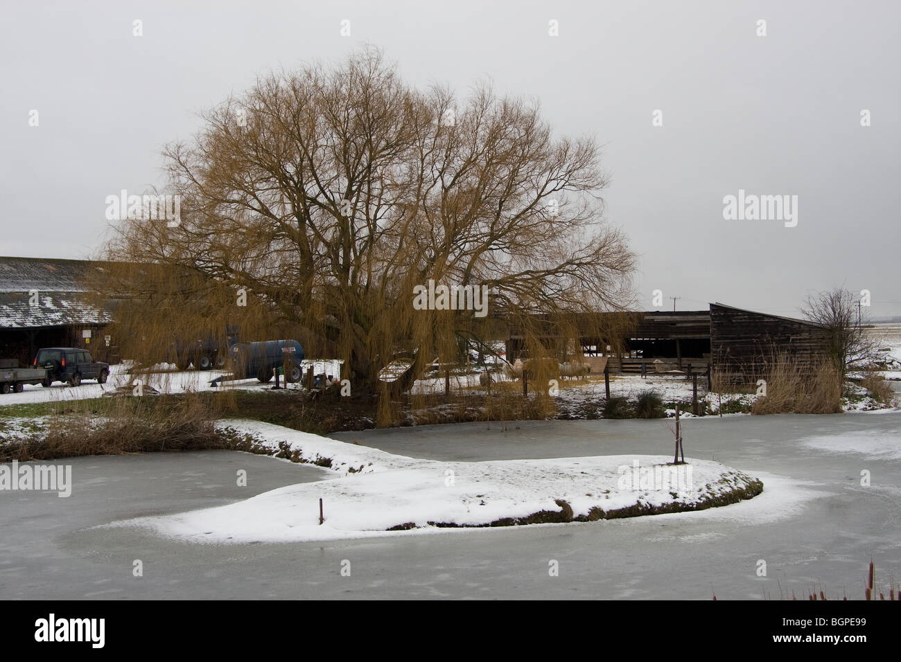 Hiver neige glace froide campagne scène de pays Banque D'Images