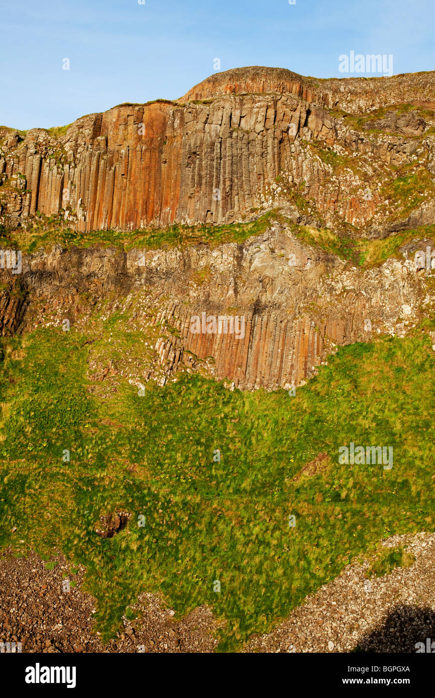 La harpe à la Giant's Causeway Antrim Irlande du Nord un phénomène naturel et un site du patrimoine mondial. Banque D'Images