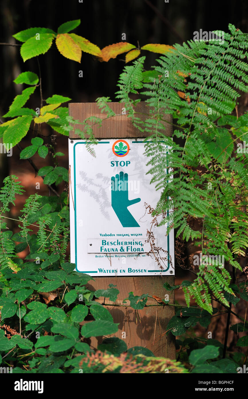Interdiction panneau stop avec symbole main pour créer de repos en forêt de nature reserve Meerdaalwoud, Belgique Banque D'Images