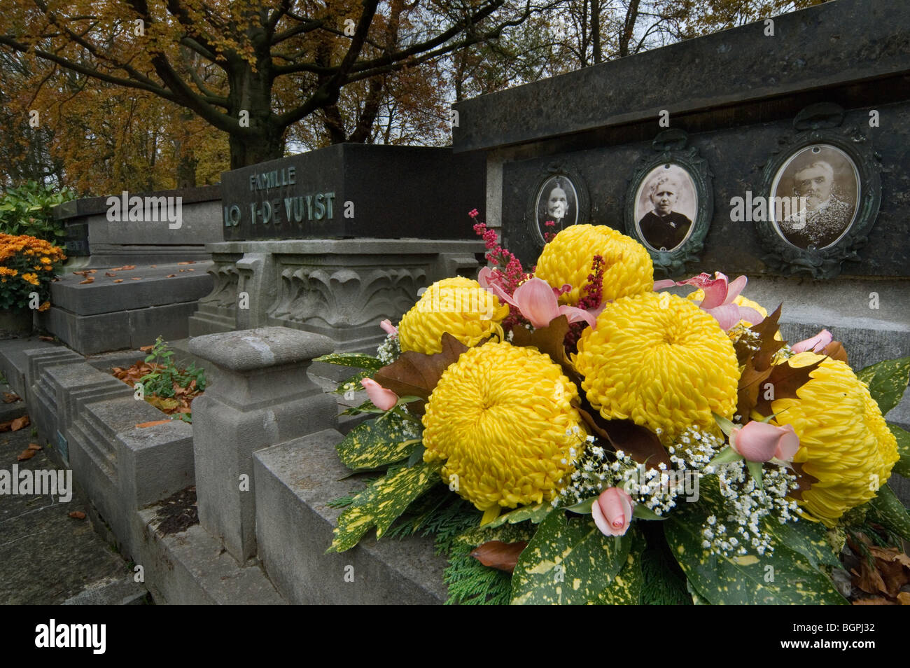 Pierres tombales et chrysanthème au cimetière de l'Ouest, Gand, Belgique Banque D'Images