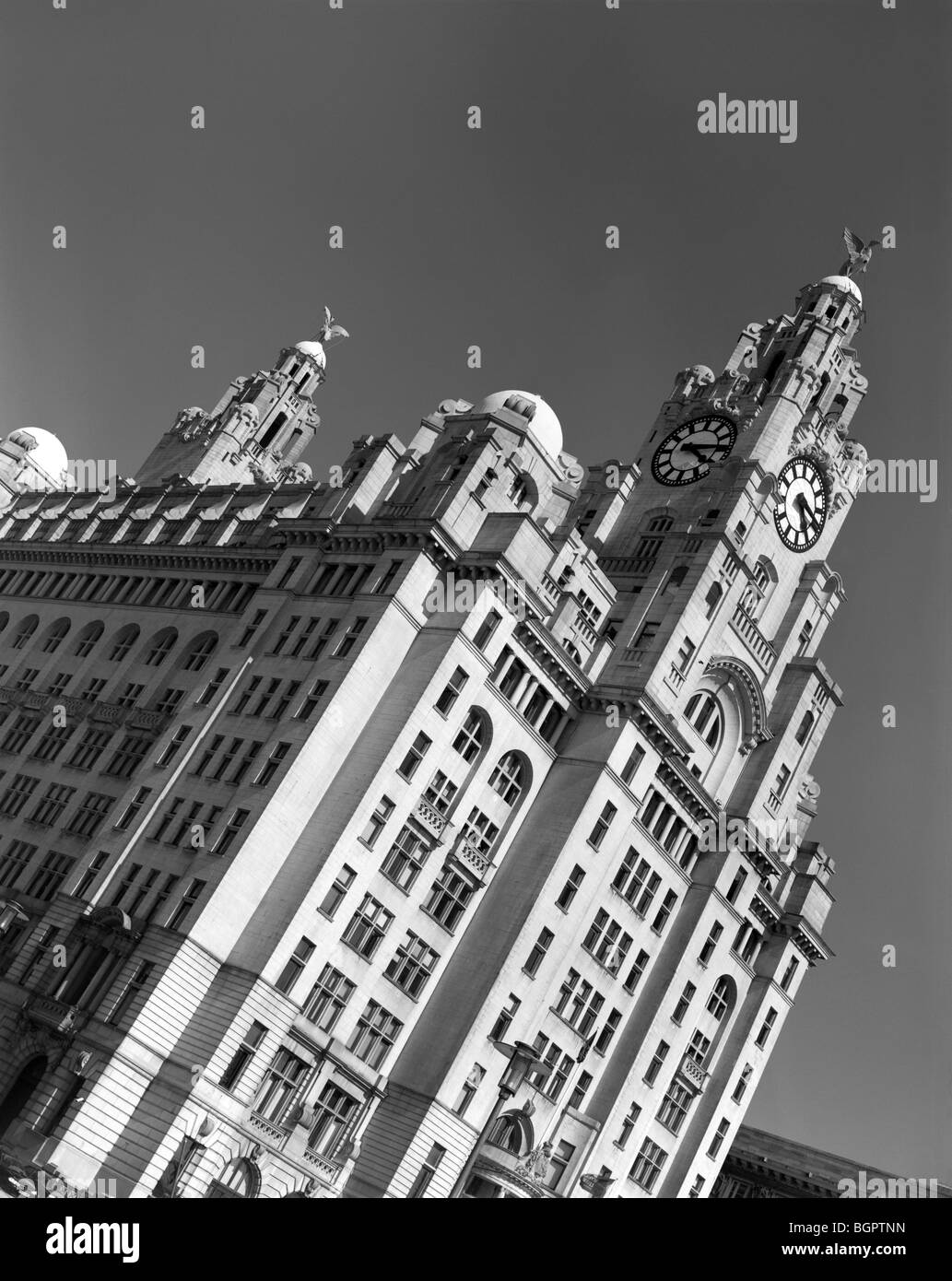 Liver Building à Liverpool UK Banque D'Images