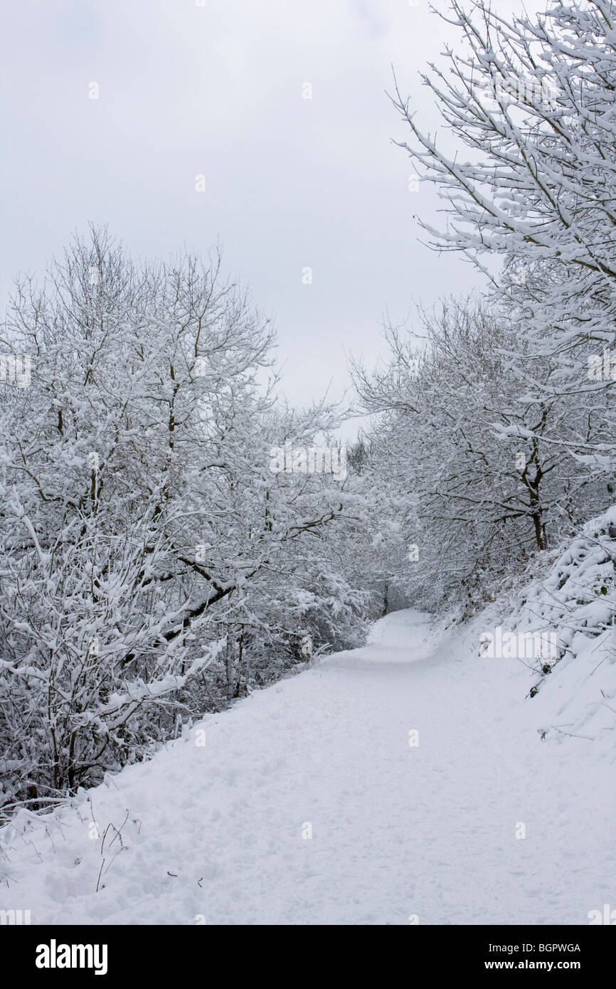 La neige blanche chemin couvert de neige laden pendaison arbres, collines de Malvern, Worcestershire. Banque D'Images