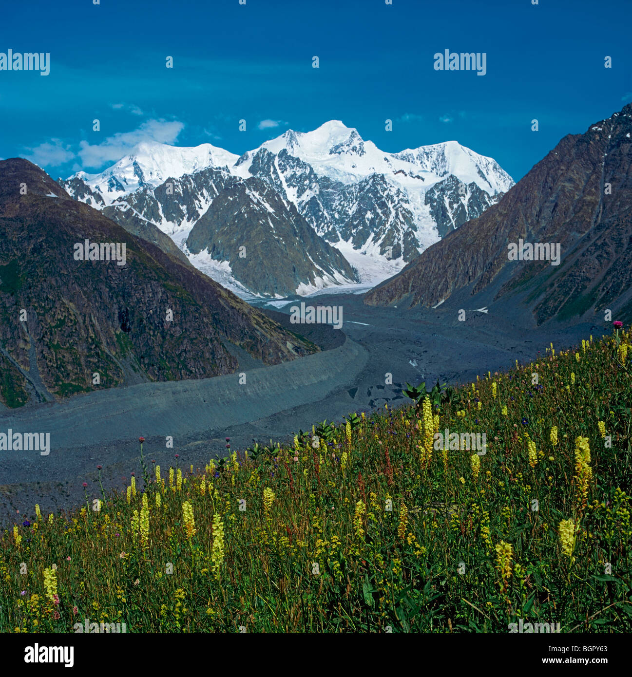 Les alpages au pied du Mont Aconcagua. Les montagnes de l'Altaï, en Russie Banque D'Images