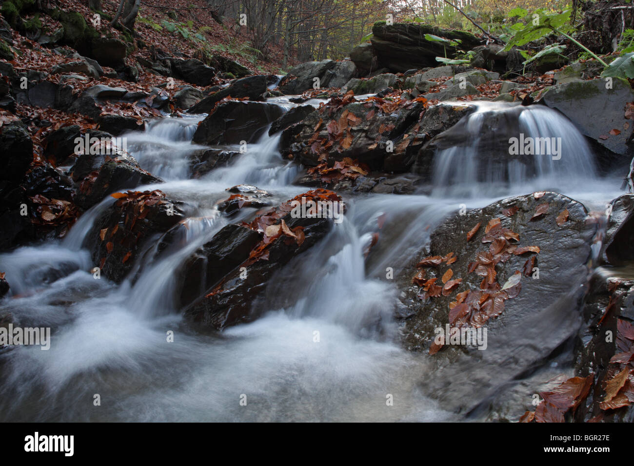 Un ruisseau de montagne dans le Parc National Balkan Central, automne, Bulgarie Banque D'Images