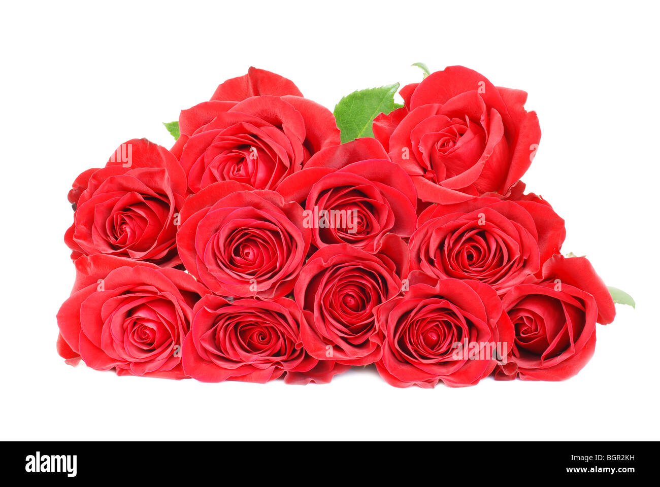 Bouquet de roses rouges sur le fond blanc Banque D'Images