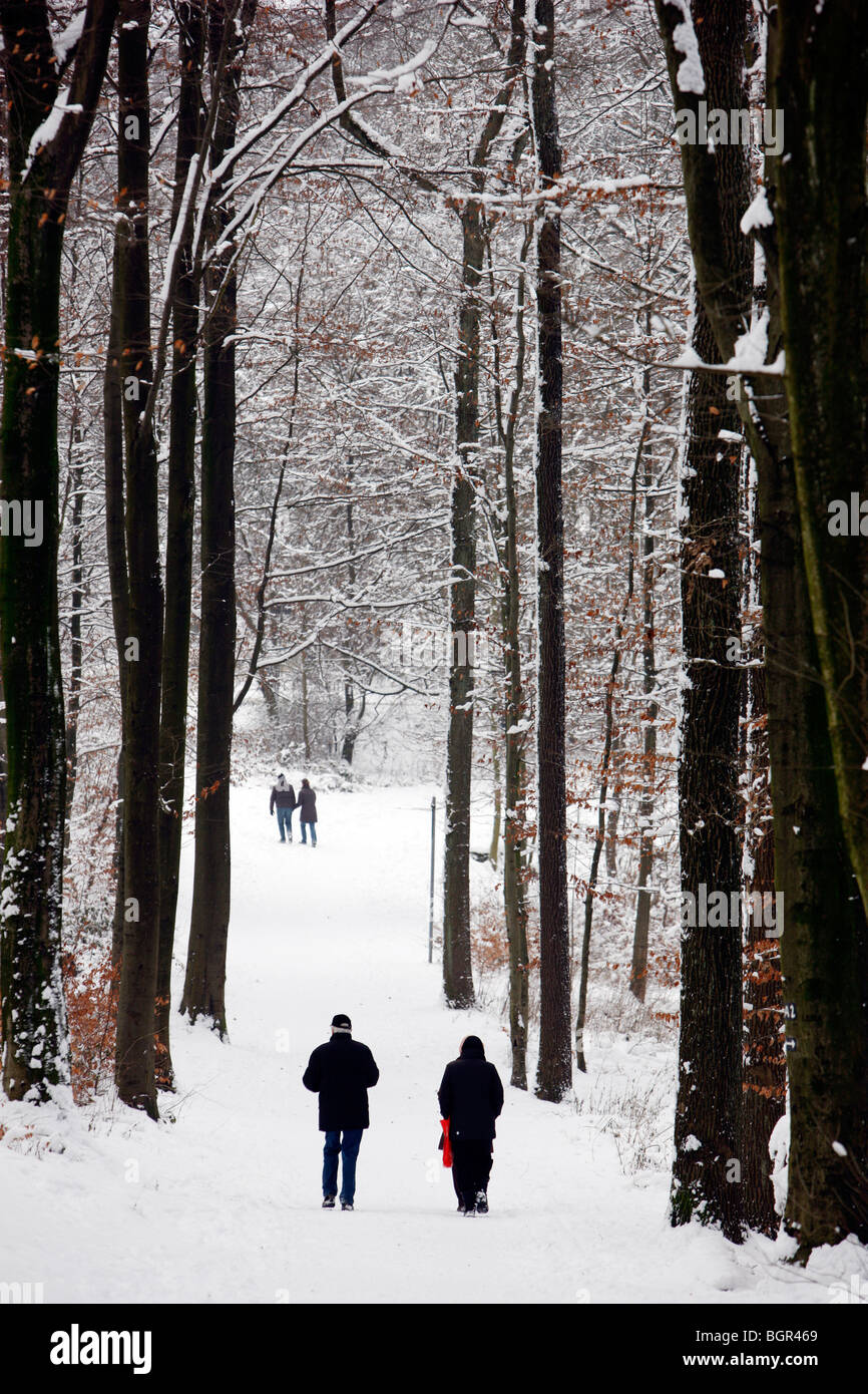 Les gens se promène dans une forêt enneigée, Essen, NRW, Allemagne. Banque D'Images