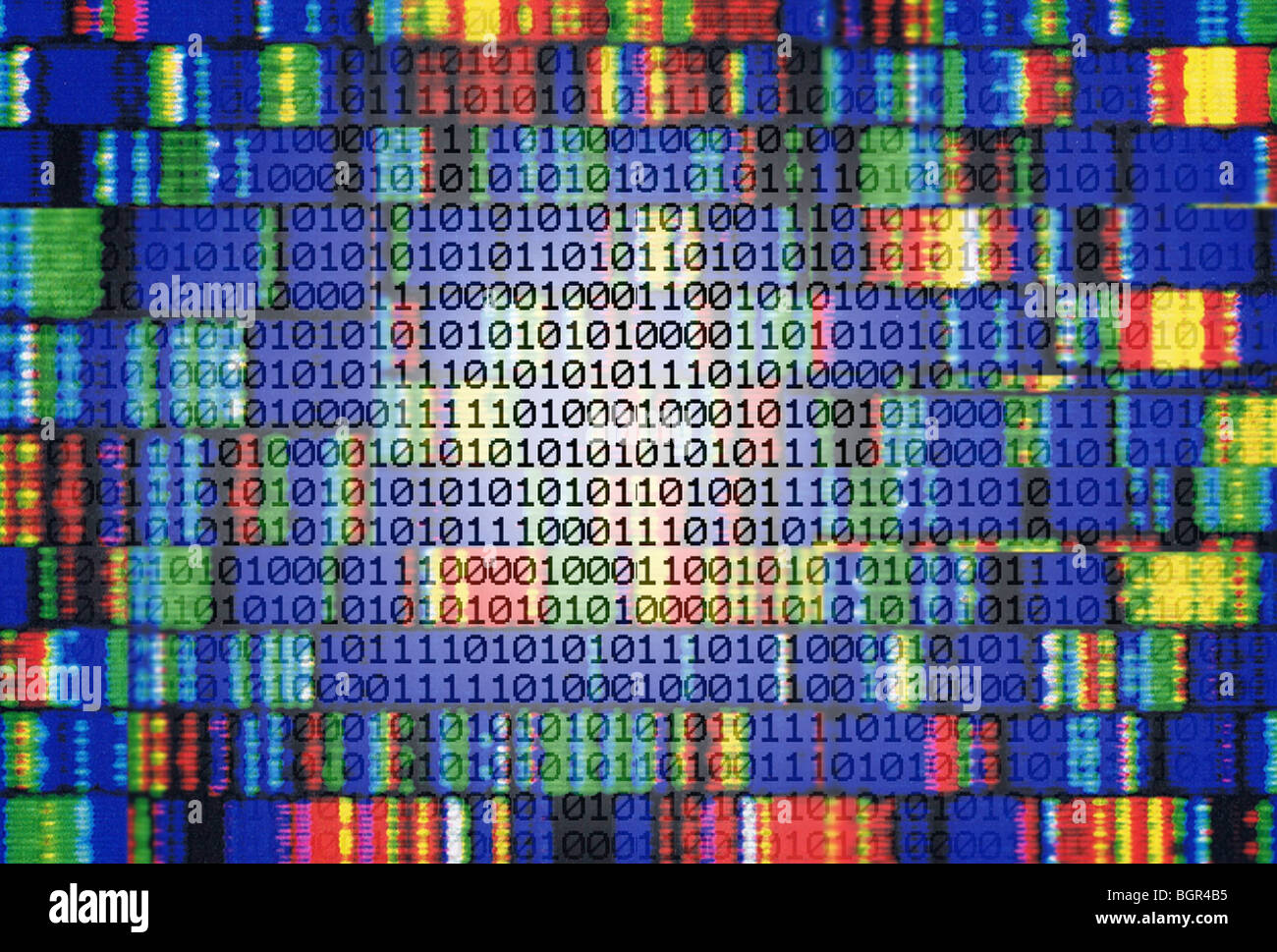 Le génotype, gène, le génie génétique, l'ADN-sequence Banque D'Images