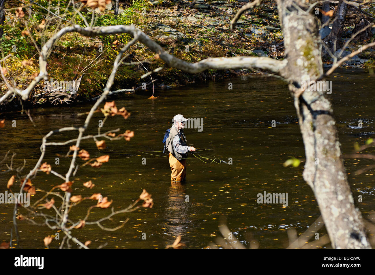 La pêche à la mouche sur la rivière Tellico dans le comté de Monroe, Michigan Banque D'Images