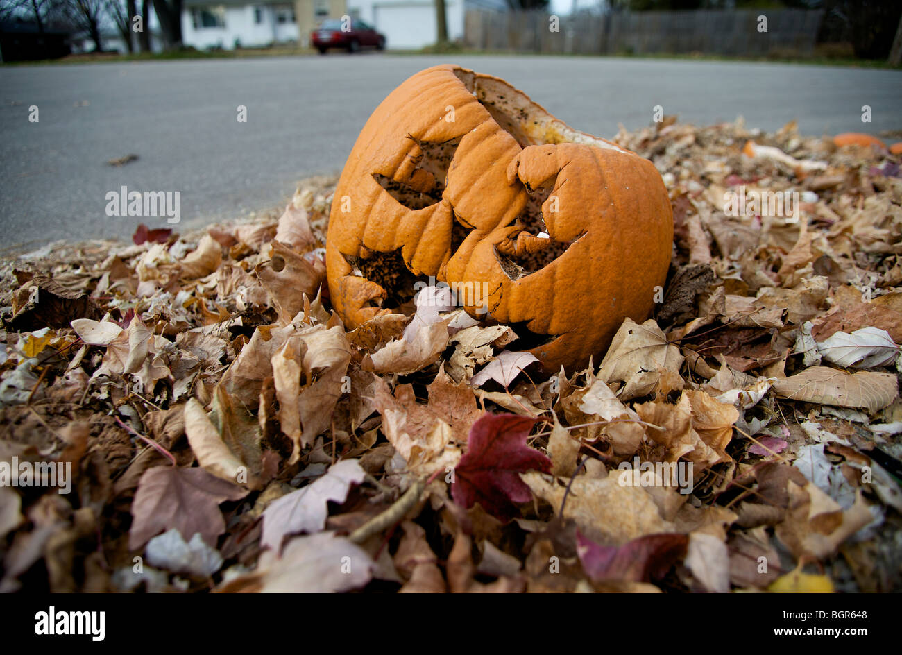 Jack-O'-lanternes jetées après Halloween a passé à Madison, Wisconsin. Banque D'Images