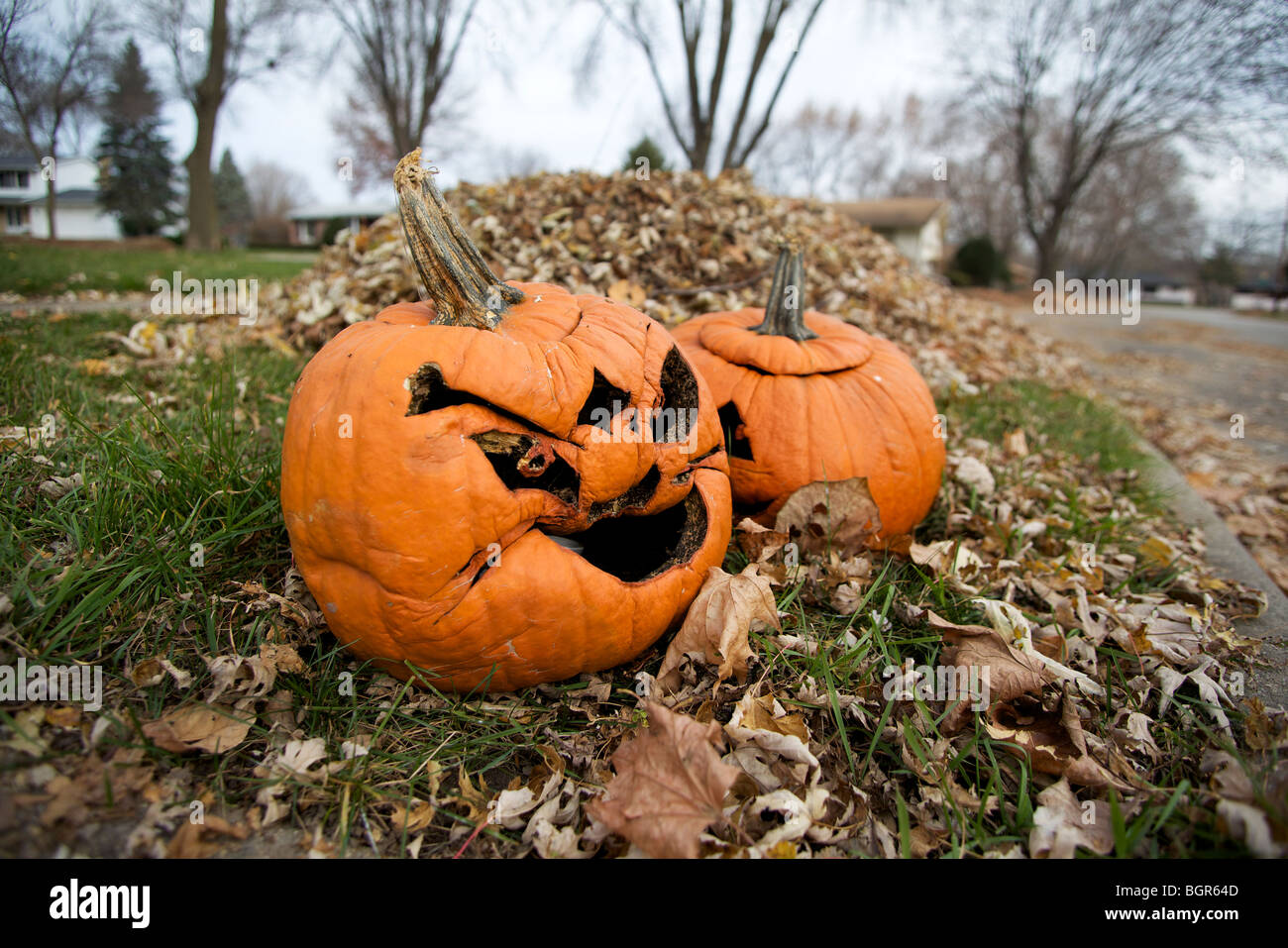 Jack-O'-lanternes jetées après Halloween a passé à Madison, Wisconsin. Banque D'Images