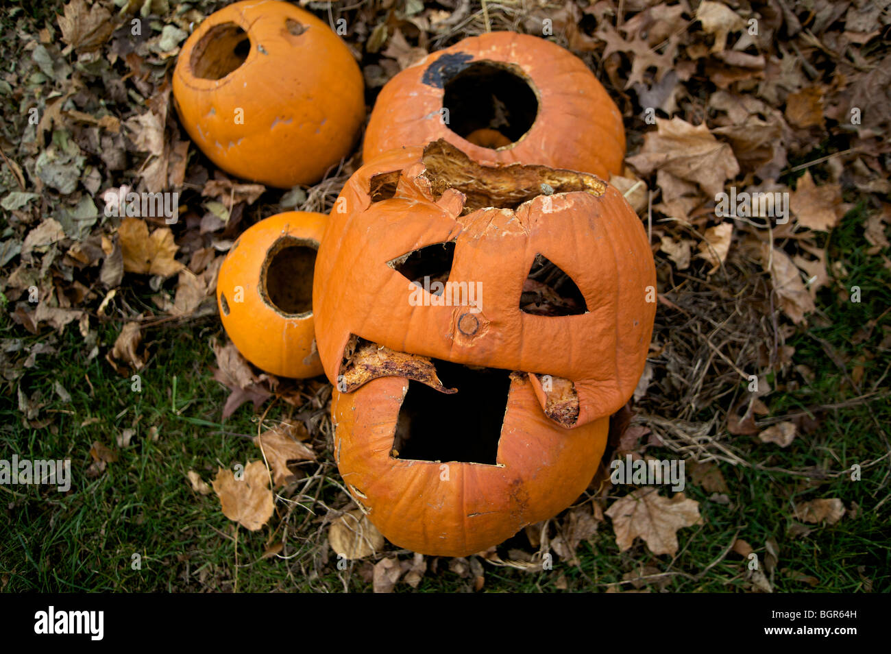 Jack-O'-lanternes jetées après Halloween a passé à Madison, Wisconsin. Banque D'Images