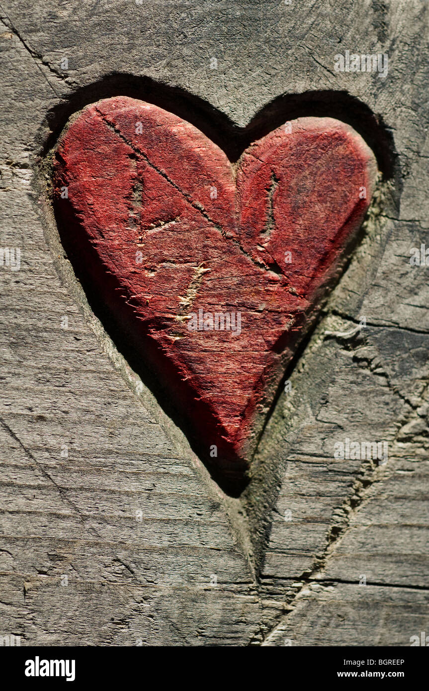 Un coeur sculpté sur arbre, close-up, en Suède. Banque D'Images