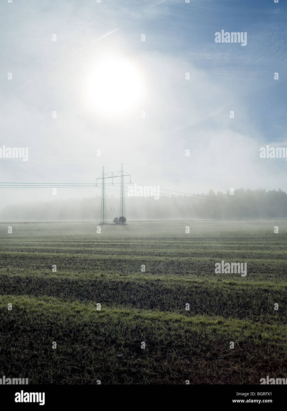 Des lignes électriques au-dessus d'une zone de brouillard, la Suède. Banque D'Images