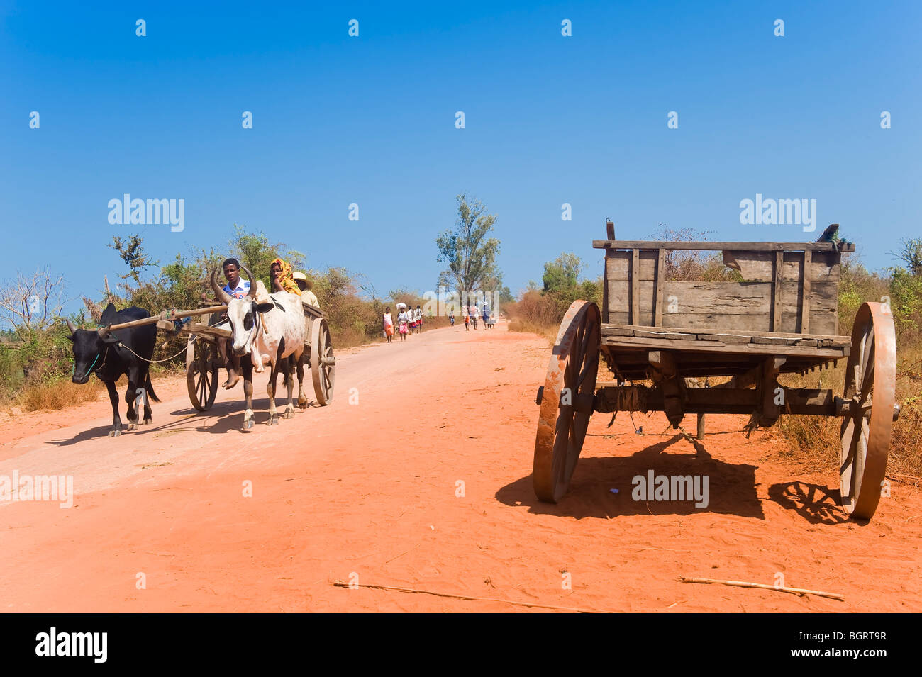Peuple malgache sur une red road, Morondava, Madagascar Banque D'Images