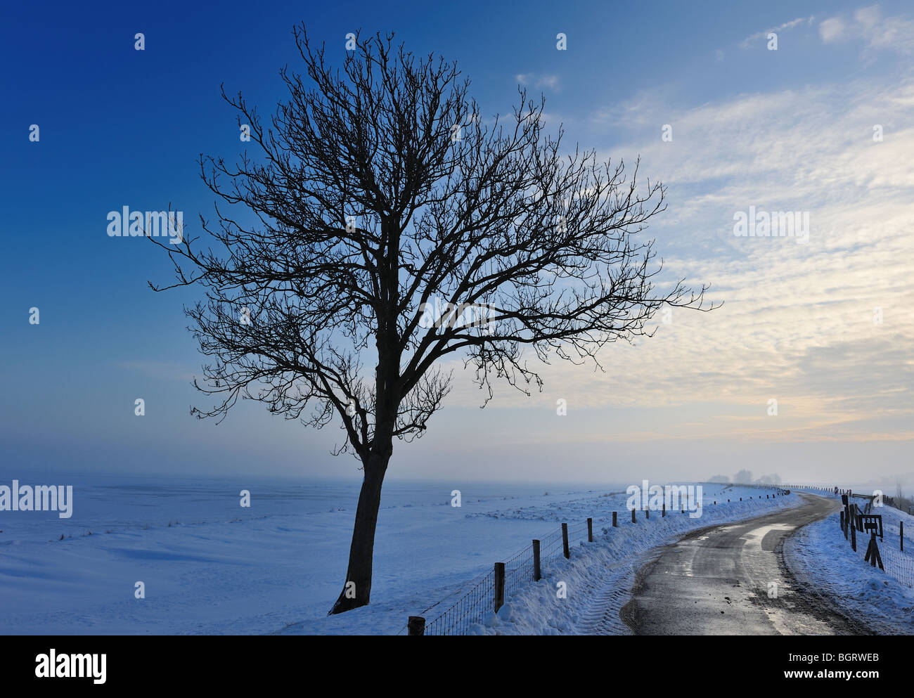 Beau paysage d'hiver aux Pays-Bas à Enkhuizen Banque D'Images