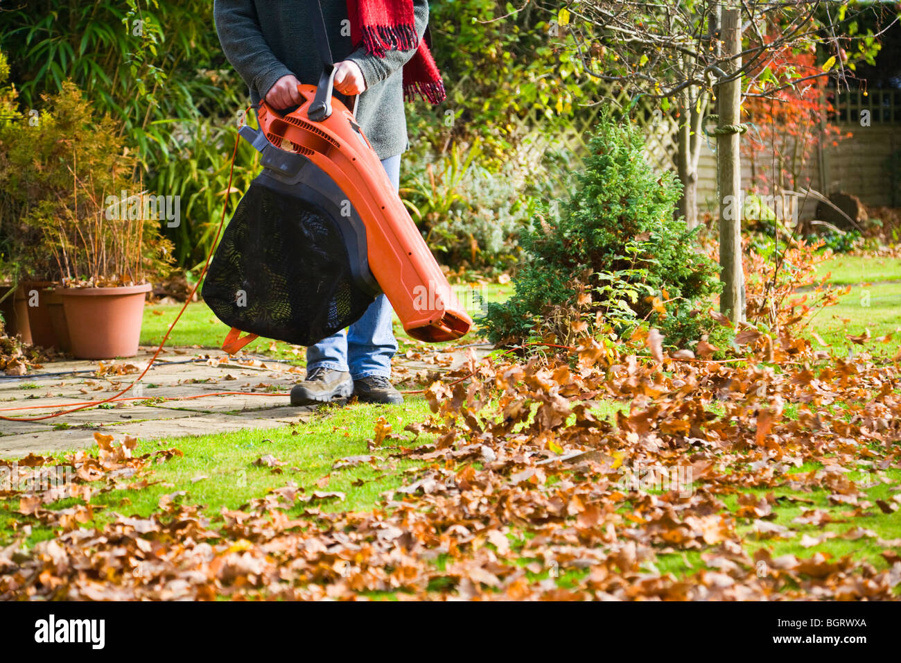 Un homme à l'aide d'une combinaison d'acc le jardin et ventilateur de feuille. Feuilles de soufflage de la pelouse. Frontières du Hampshire et du Dorset. UK. Banque D'Images