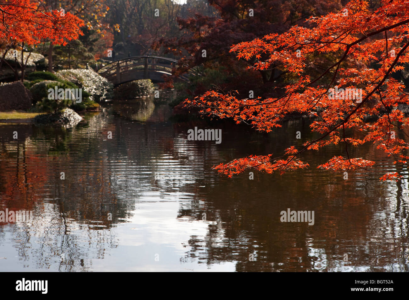 Passerelle dans un jardin japonais, Fort Worth au Texas, USA Banque D'Images