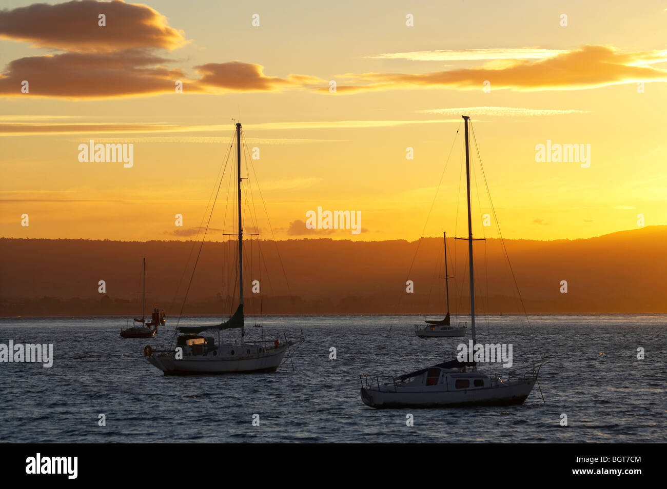 Yachts au coucher du soleil, Tauranga Harbour, Mount Maunganui, Bay of Plenty, île du Nord, Nouvelle-Zélande Banque D'Images