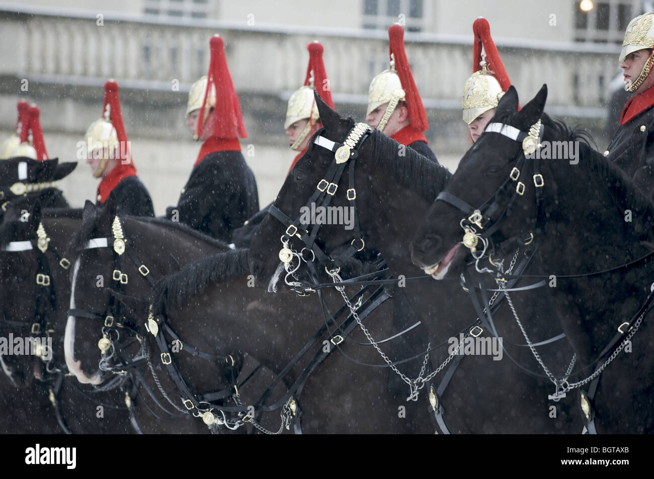 Le régiment de cavalerie de la Reine, du Blues et du Royals sur des chevaux dans la neige, Londres, Angleterre Banque D'Images