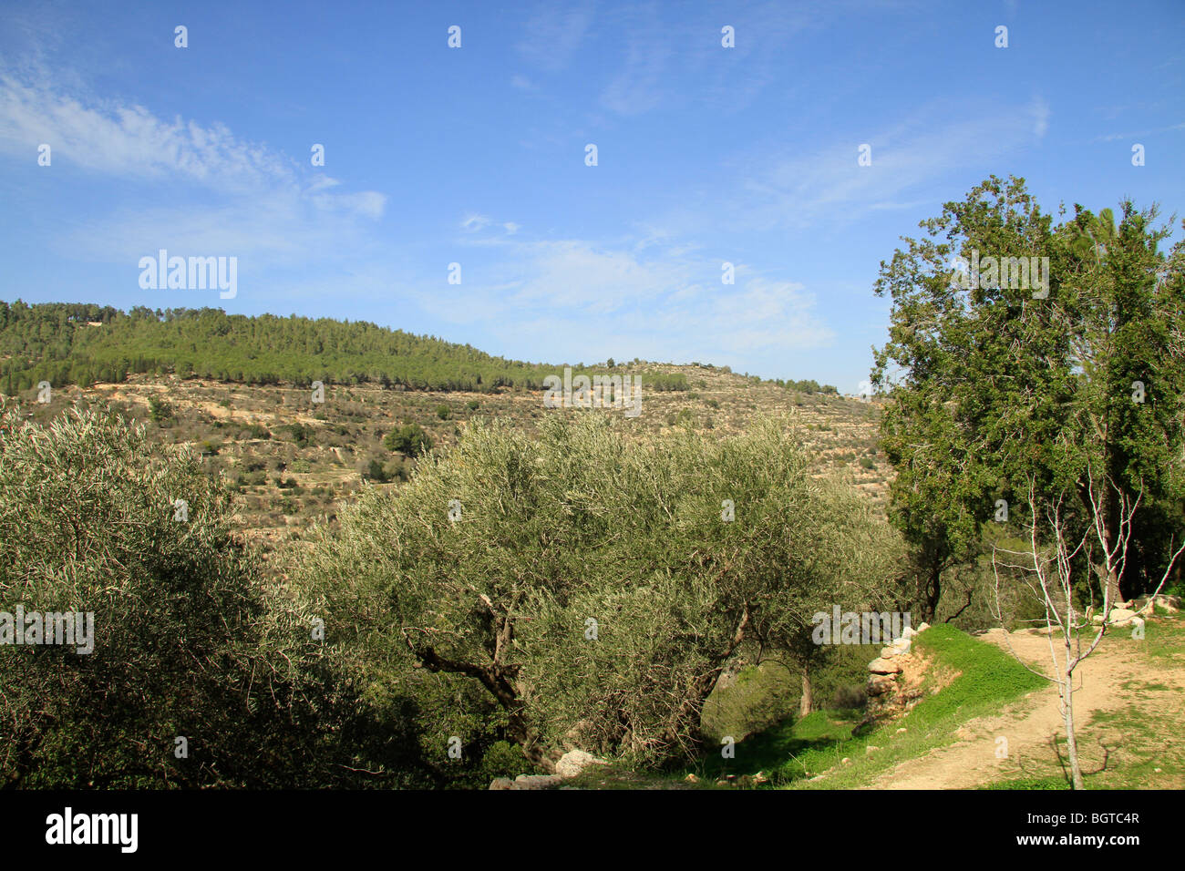 Israël, Jérusalem montagne, vue de l'église de Sainte Elisabeth au monastère de Saint Jean-du-Désert Banque D'Images