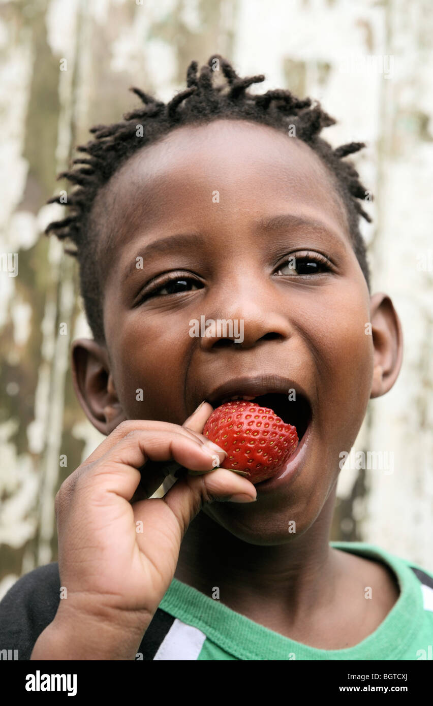 Boy eating strawberry, Cape Town, Western Cape , Afrique du Sud Banque D'Images