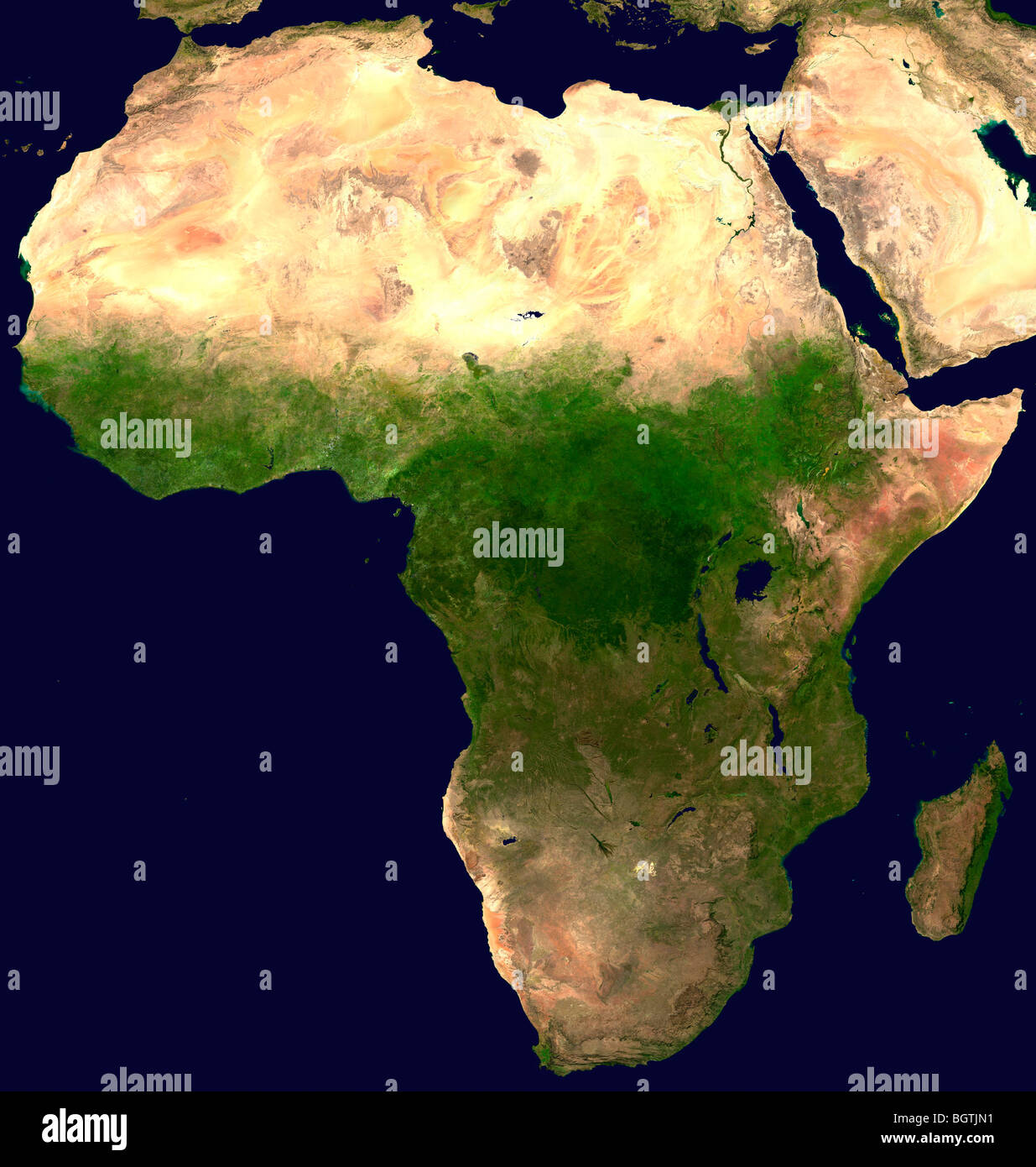 Image satellite de l'Afrique présentant une zonation de la végétation naturelle Banque D'Images