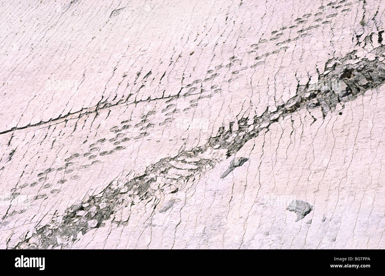 'Parque Cretacico', le site des mondes meilleurs dinosaures préservé près de Sucre, Bolivie. Banque D'Images