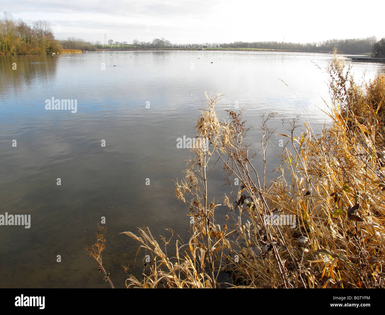 Priorslee Lake, Shropshire, Angleterre, hiver 2009 Banque D'Images