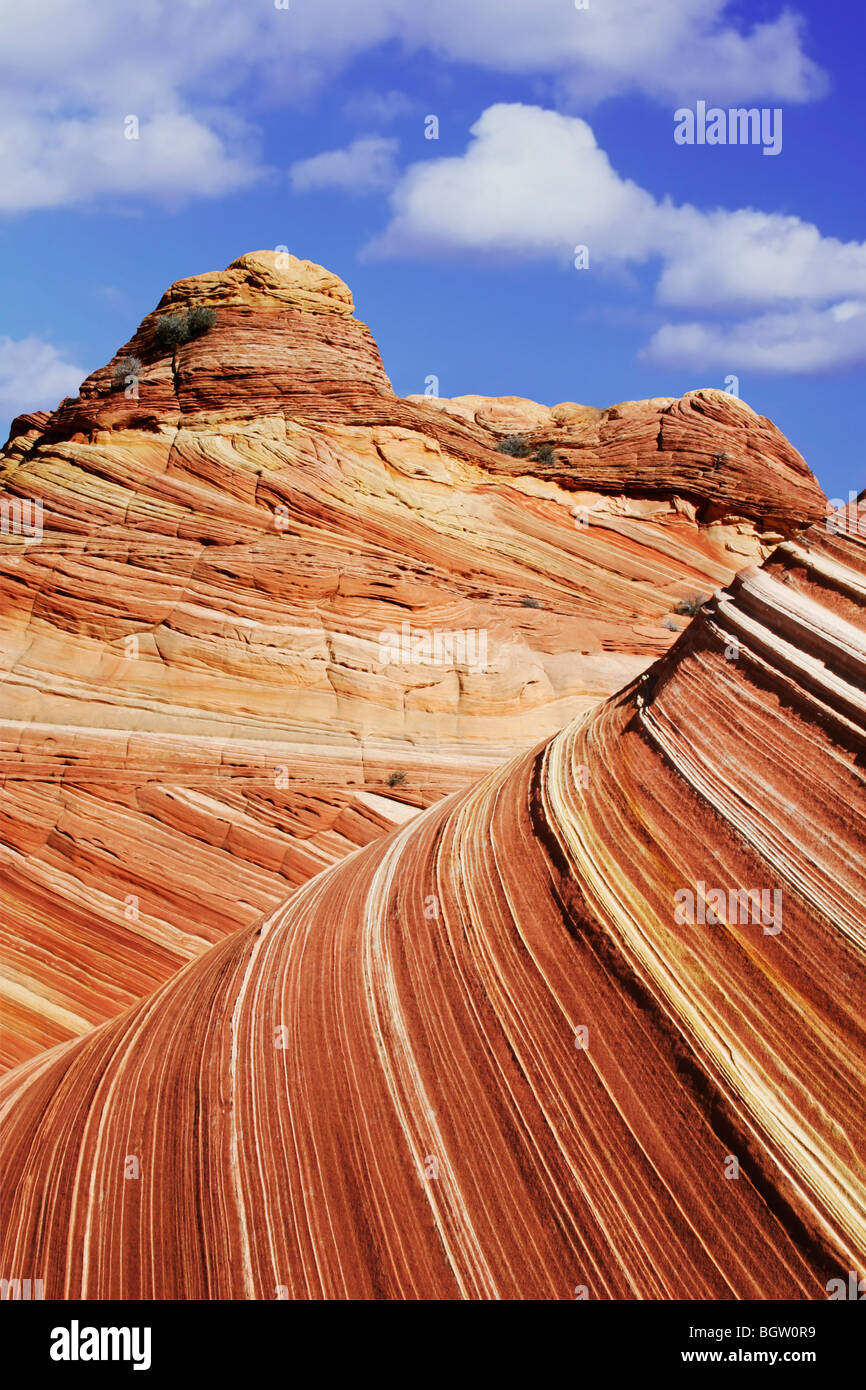 Grès stratifiés de 'la vague' salon de Paria Canyon-Vermillion Cliffs Wilderness Area, Utah et Arizona Banque D'Images