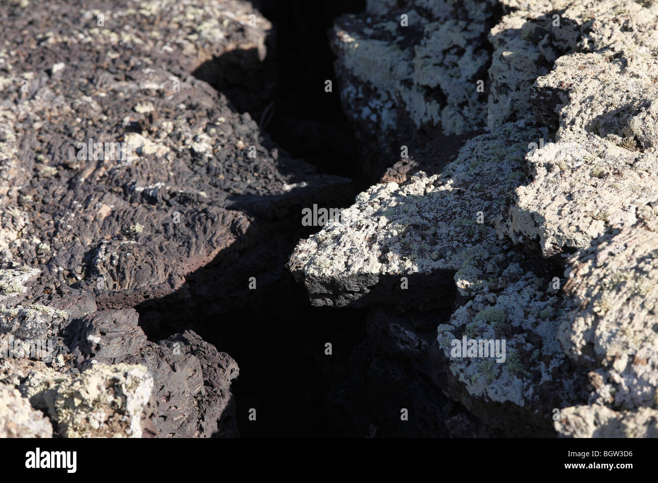 Fissure dans la pierre de lave avec les lichens, Lanzarote, Canary Islands, Spain, Europe Banque D'Images