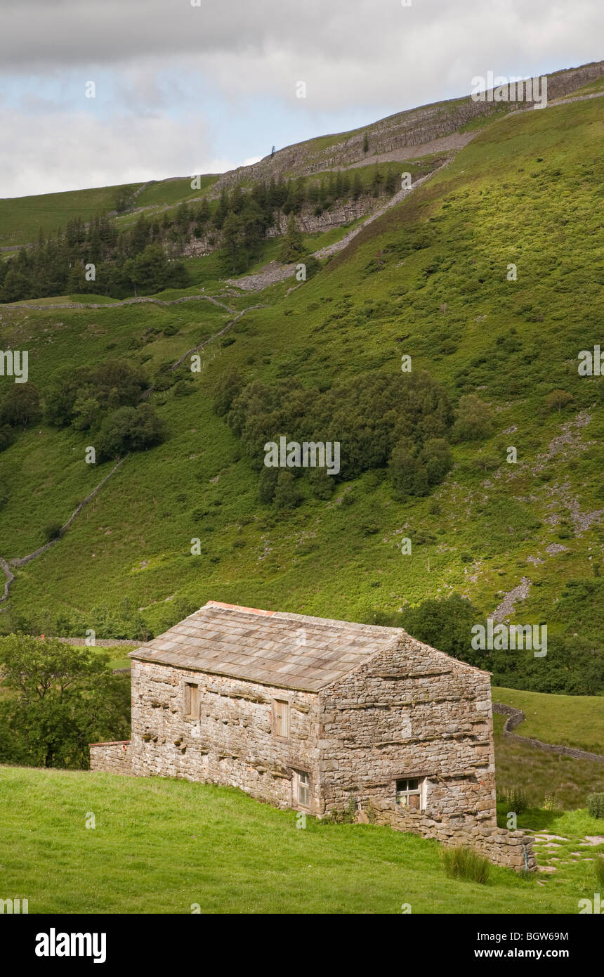 Grange sur le terrain dans la région de Swaledale avec vue de l'usine Hooker cicatrice, Yorkshire du Nord. Banque D'Images