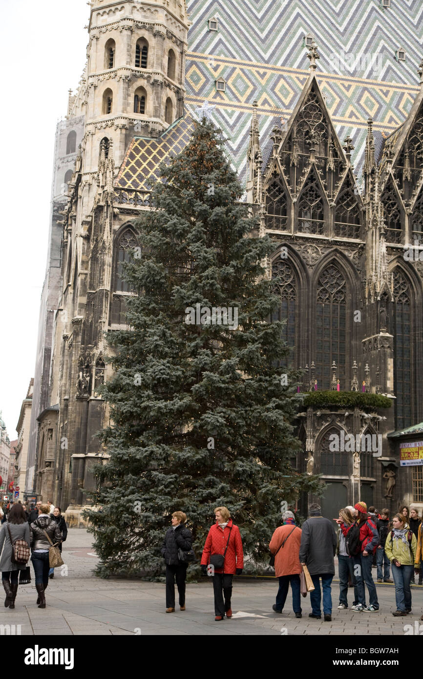 Arbre de Noël en face de la cathédrale de Vienne, à St Stephen's square (Stephansplatz) Banque D'Images