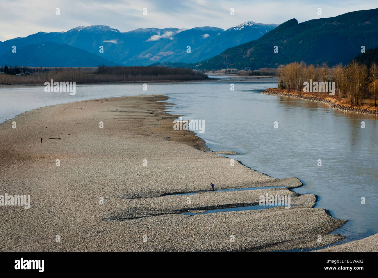 Un banc de gravier du fleuve Fraser dans le lower mainland de la Colombie-Britannique, Canada. Les personnes à la recherche de moules d'eau douce. Banque D'Images