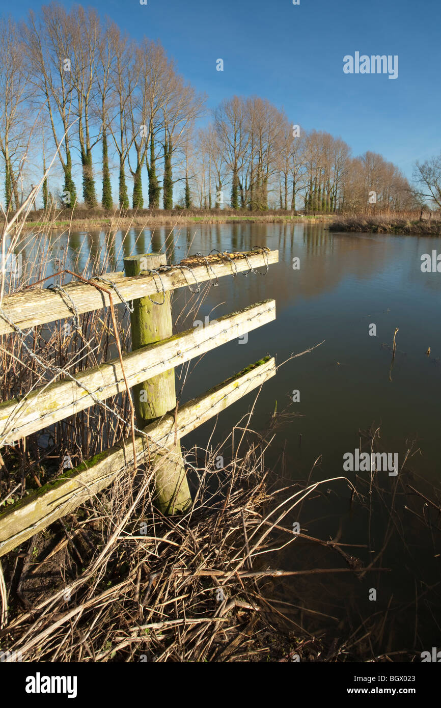 La Tamise en aval de Buscot Lock, Oxfordshire, UK Banque D'Images