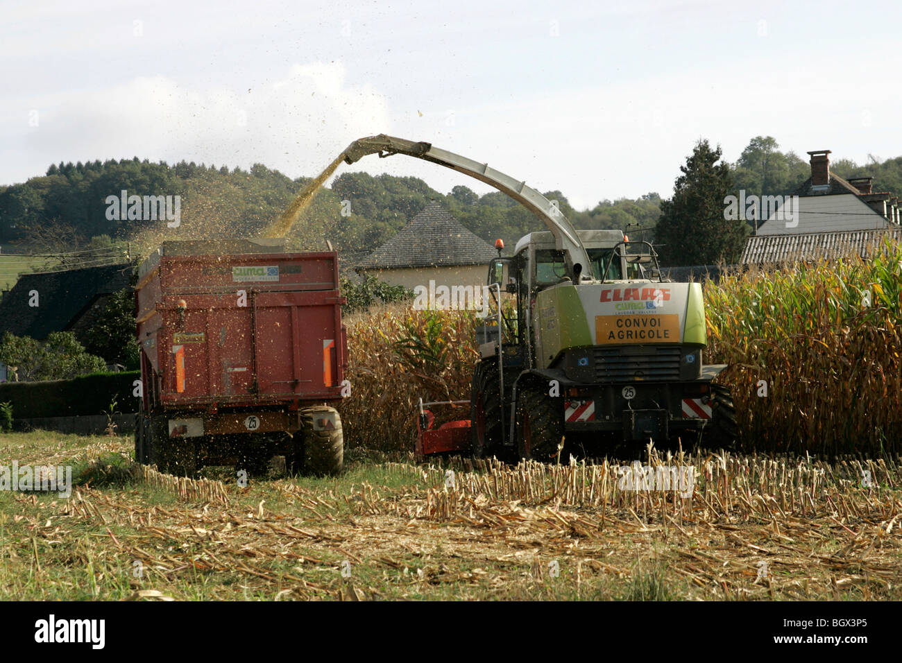 La récolte de maïs du sud France Pyrenees-Atlantic Banque D'Images