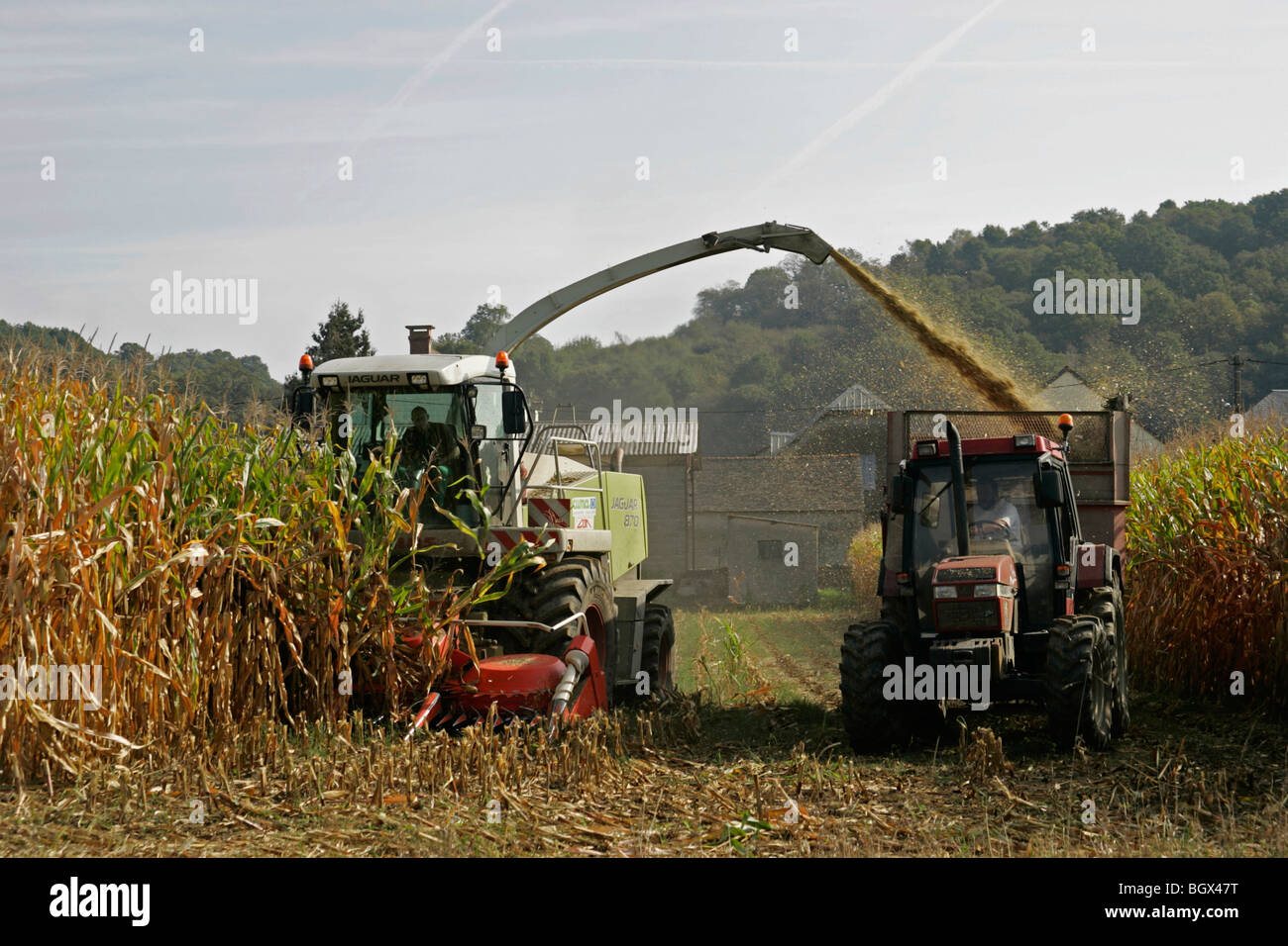 La récolte de maïs du sud France Pyrenees-Atlantic Banque D'Images