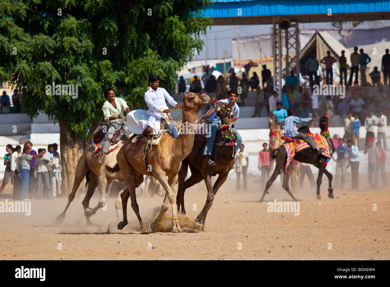 Les courses de chameaux à la Camel Fair de Pushkar Inde Banque D'Images