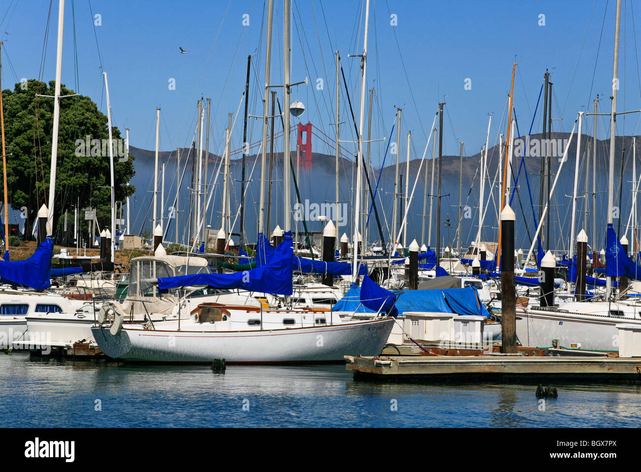 YACHTS dans le port près de Fishermans Wharf sur la baie de San Francisco - SAN FRANCISCO, CALIFORNIE Banque D'Images
