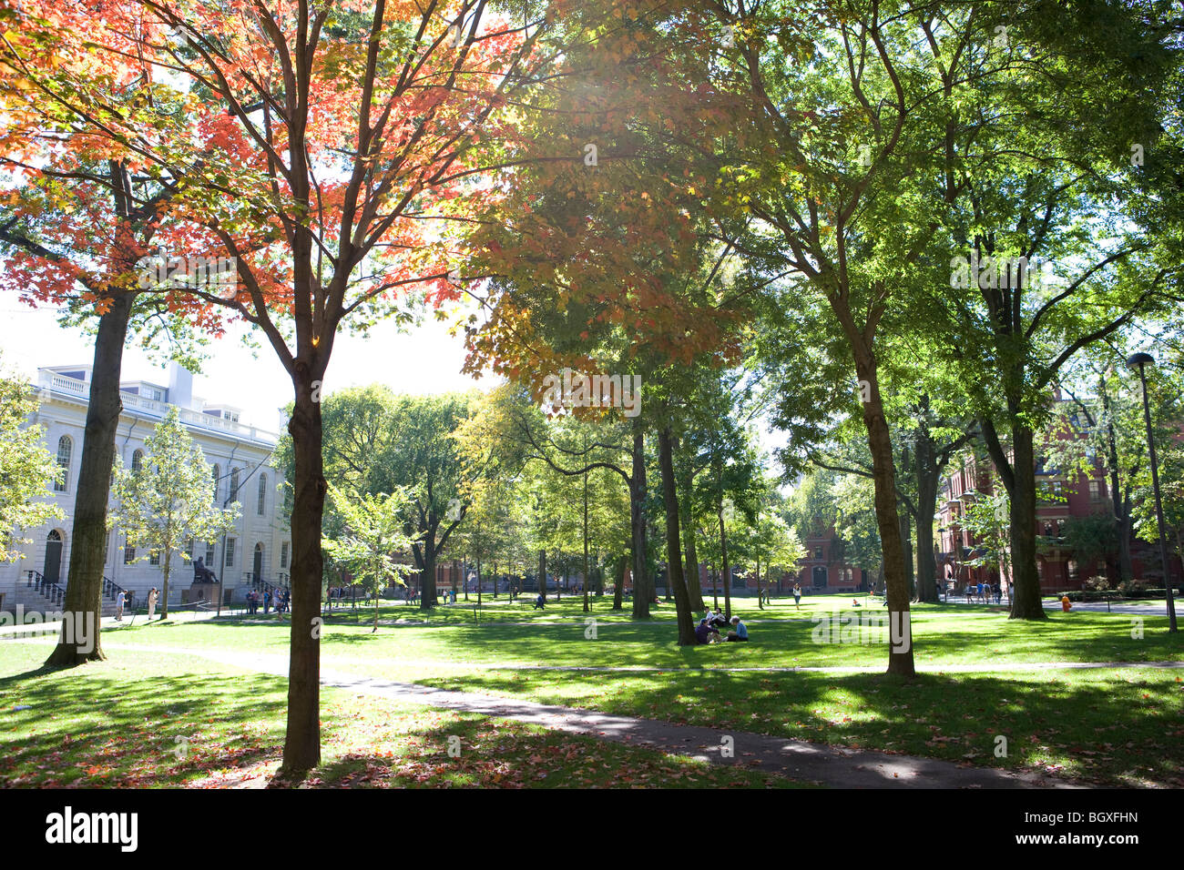 Campus de l'Université de Harvard, Cambridge, Massachusetts, USA Banque D'Images