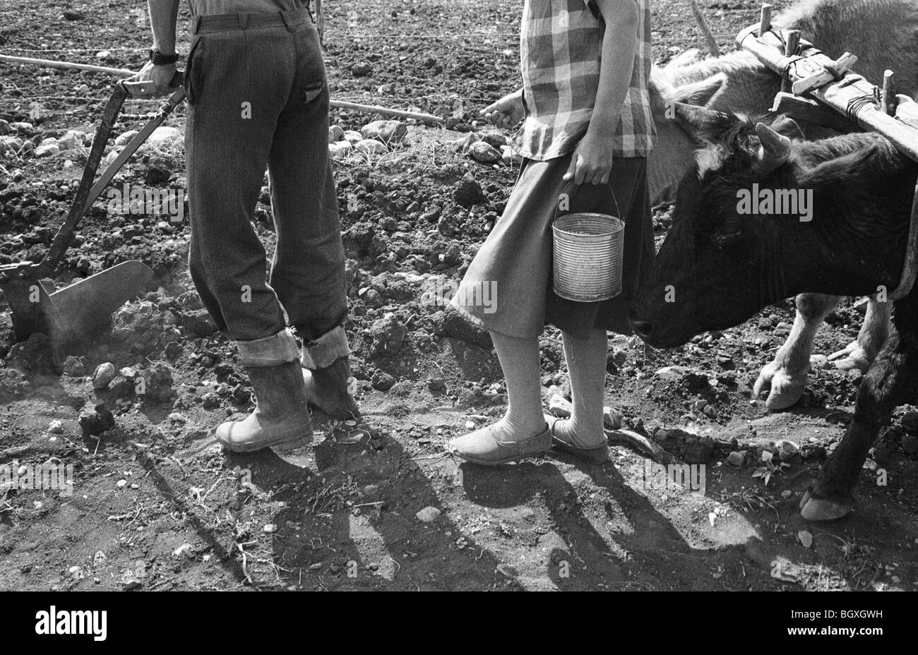 Labourer les champs et semer des graines, Hani Sex, le nord de l'Albanie, 1992. Banque D'Images