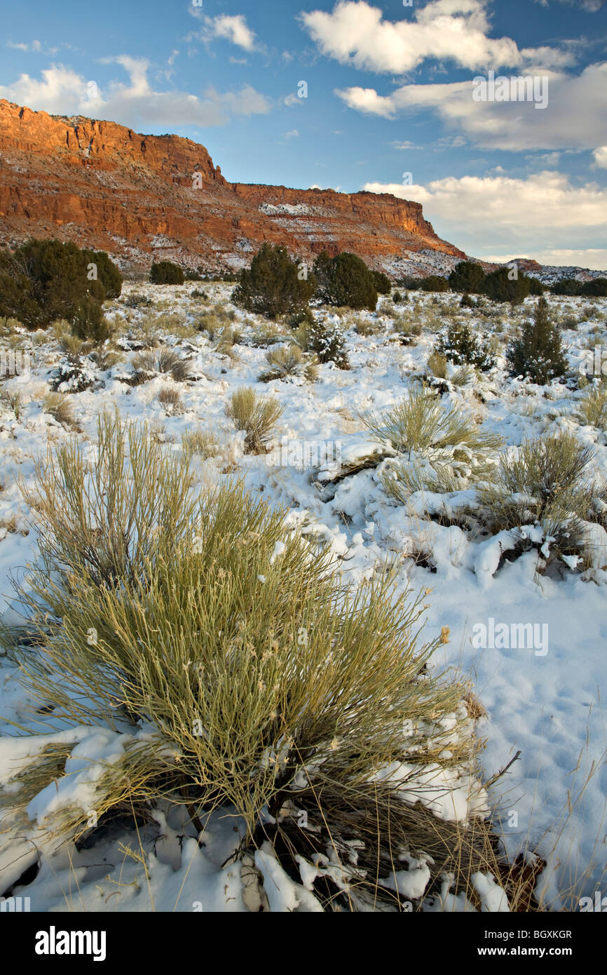 Neige sur les falaises Vermilion en Arizona Banque D'Images