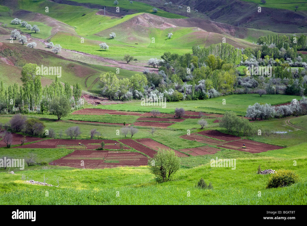 Vue panoramique de la Vallée des fleurs à Kelkit Gumushane Turquie Banque D'Images