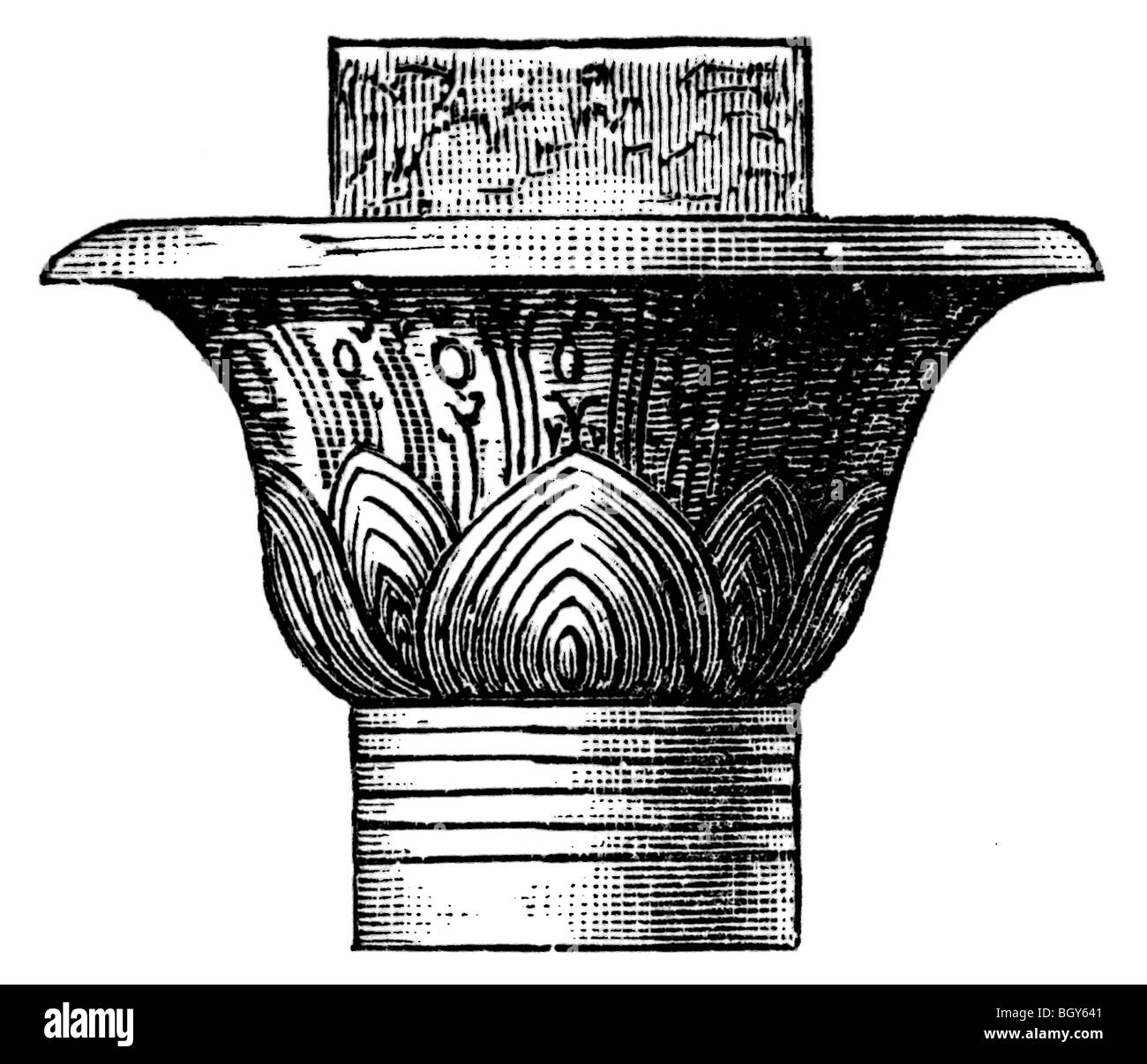 Ombelles de Papyrus ouvrir le capital, l'Égypte Banque D'Images