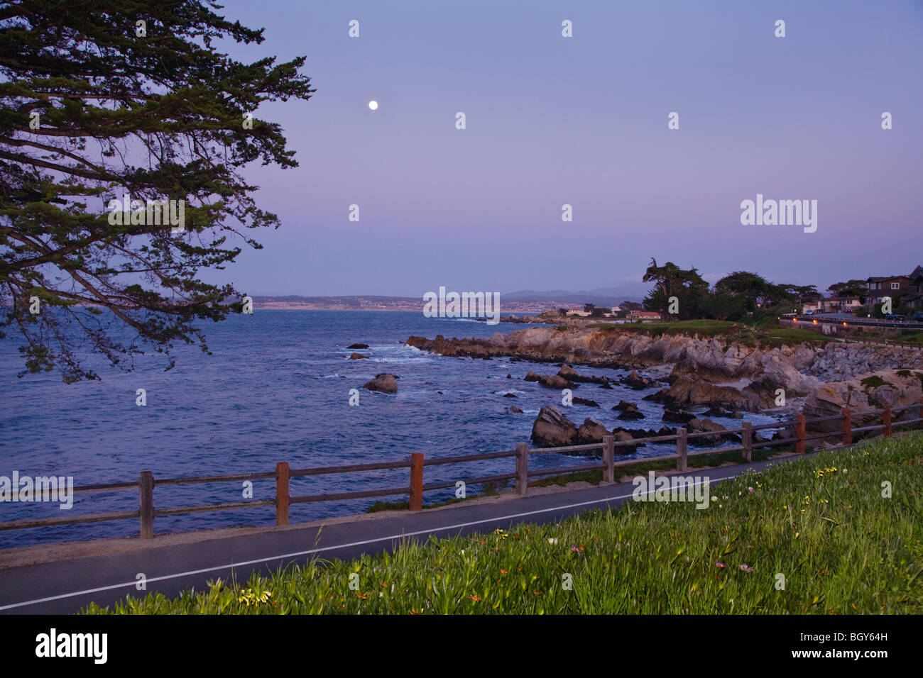 Cyprès arbre et lune remonter le long d'une route panoramique - Pacific Grove, Californie Banque D'Images